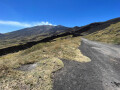 Vegetation, Lava, and Ash, Mount Etna, Sicily